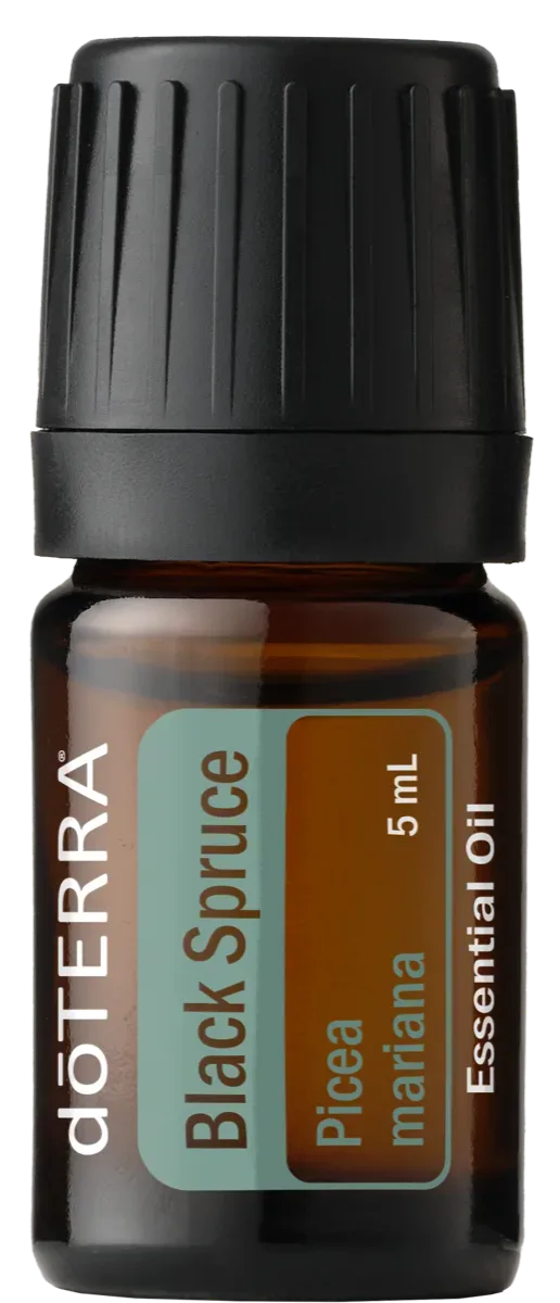 dōTERRA Schwarzfichte (Black Spruce) 5 ml